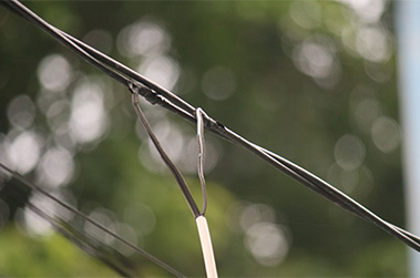 Theft of energy wires attached to power line