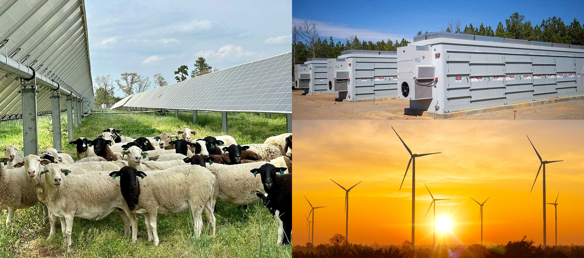 Renewable Projects