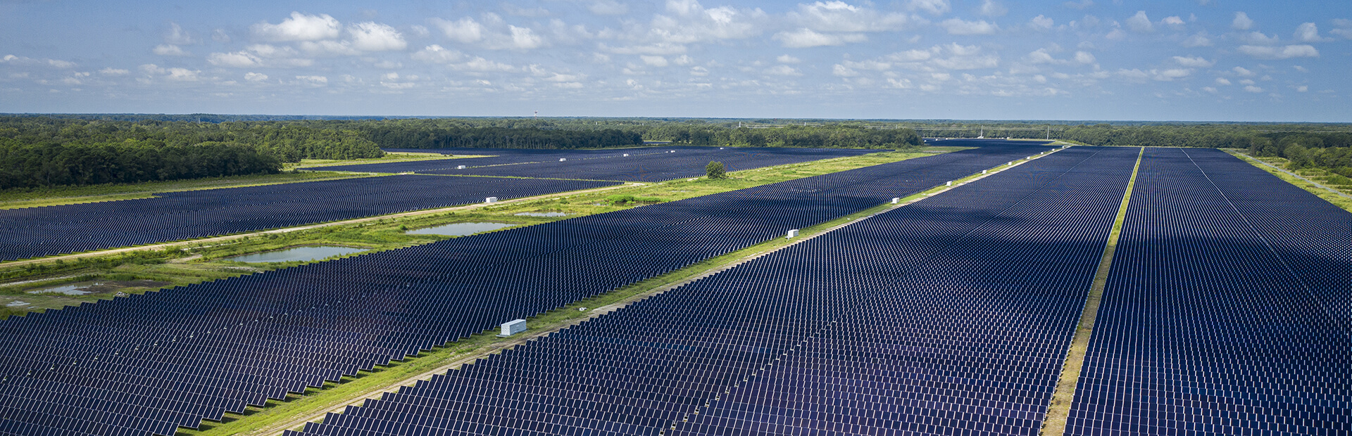 solar farming