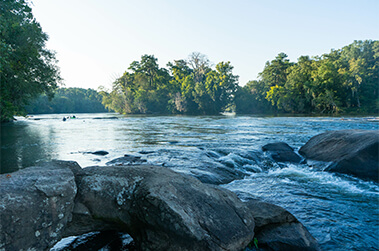 Lower Saluda River