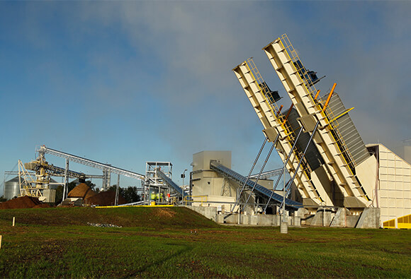 Biomass Generation Plant