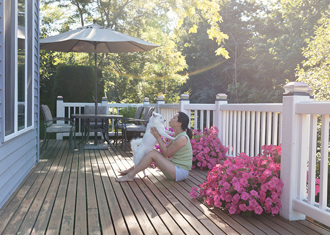 Summer deck with puppy and flowers
