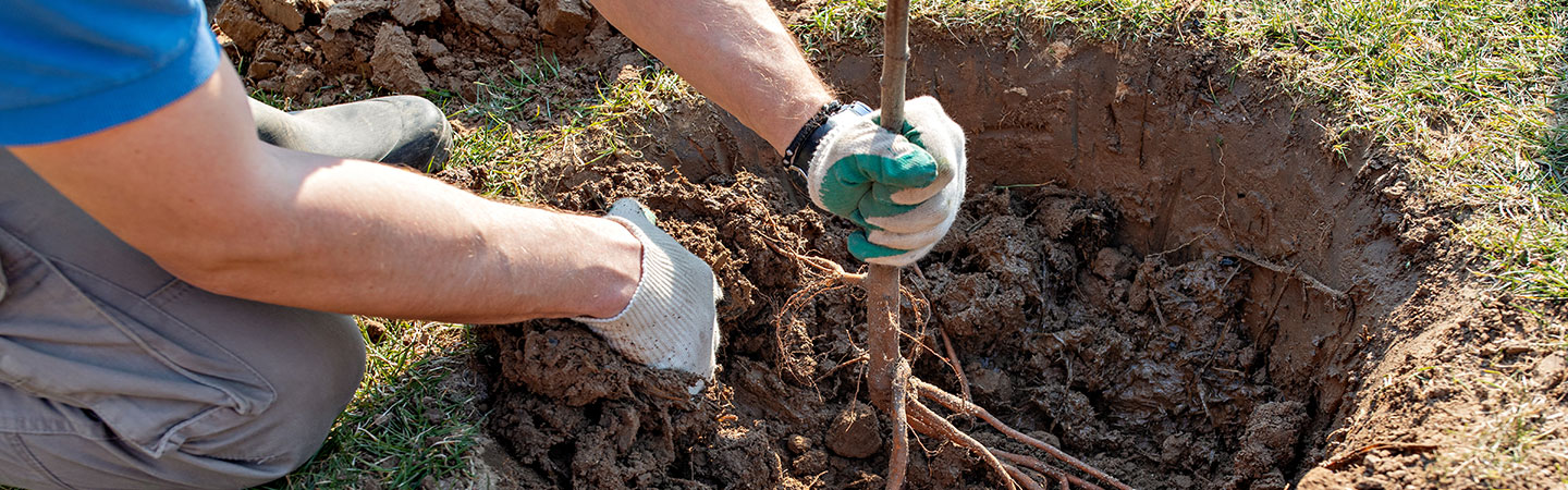 Call Before You Dig