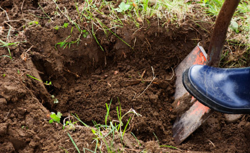 Call 811 before you dig