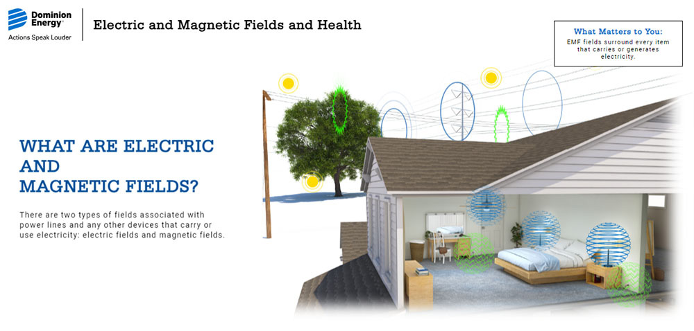 Electric and Magnetic Fields and Health