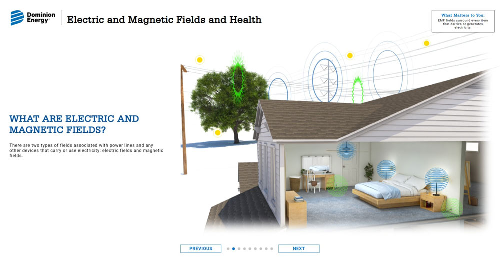 Electric and Magnetic Fields and Health