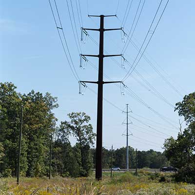 Double-Circuit Monopole Structures