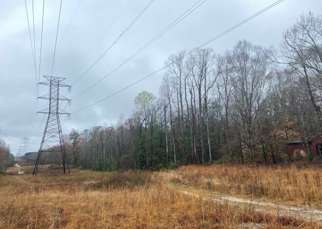 Weathering steel lattice towers north of the Chowan River, looking south. The line here shares structures with a distribution line to cross the wetlands and river.
