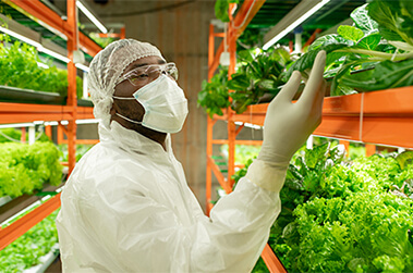 Vertical Farming