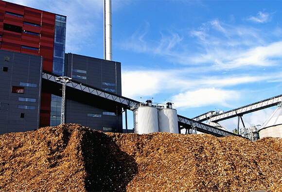 Biomass Fuel Facility