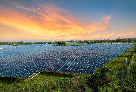 Solar Farm