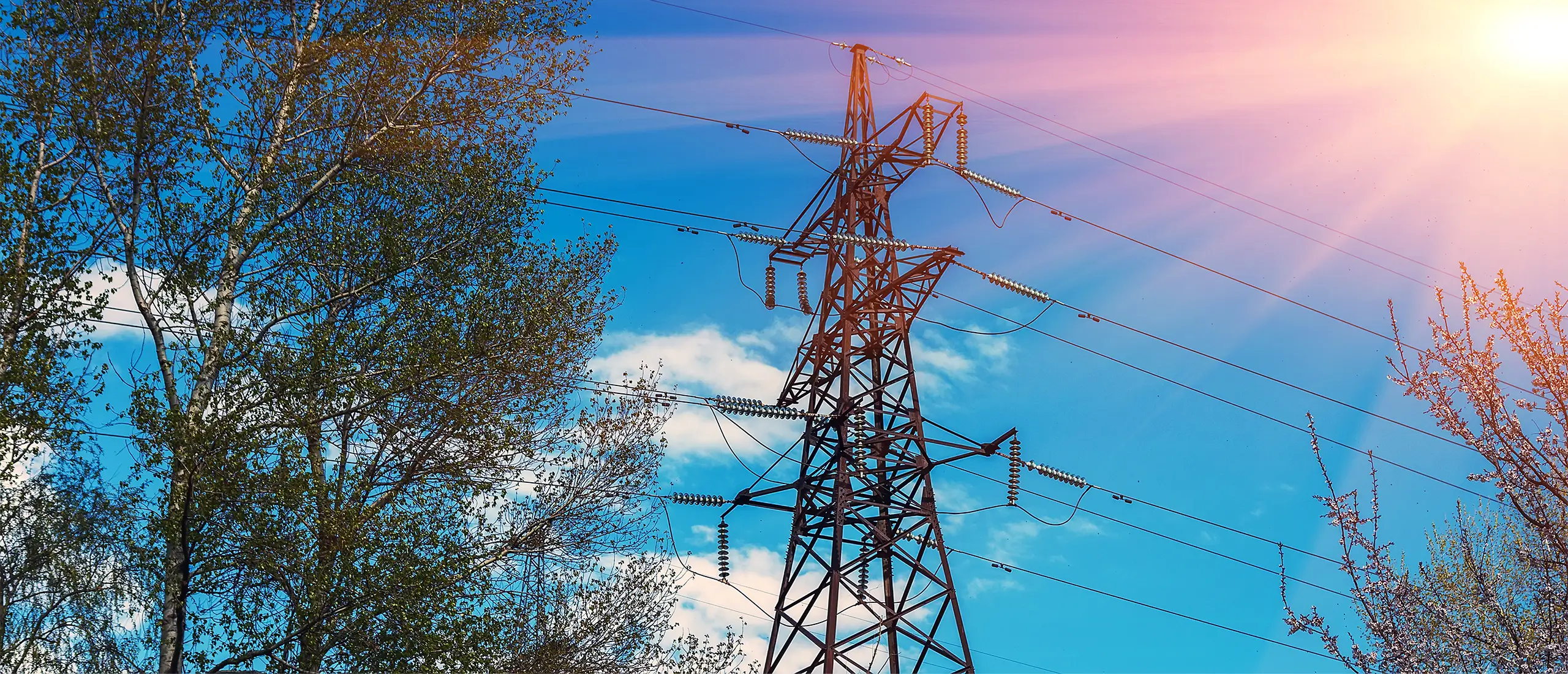 230 kV Electric Transmission Line