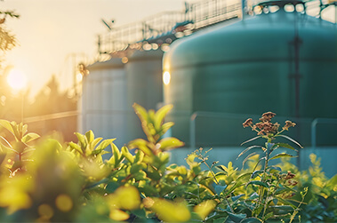 Renewable Natural Gas Facilities