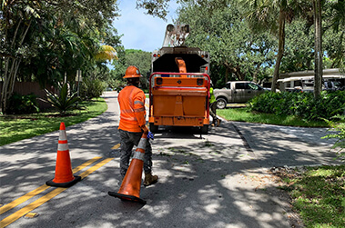 Crew Trimming Trees Near Power Lines