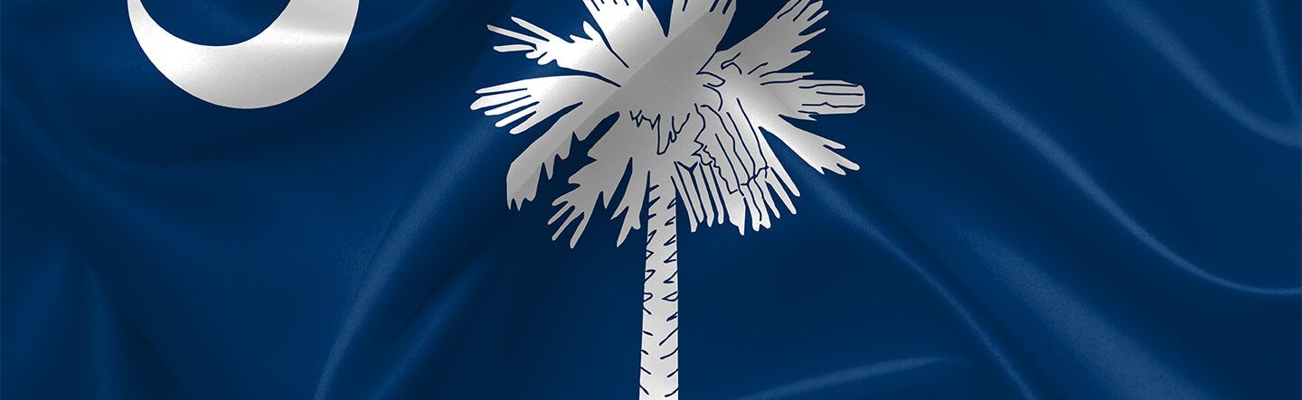 South Carolina State Flag