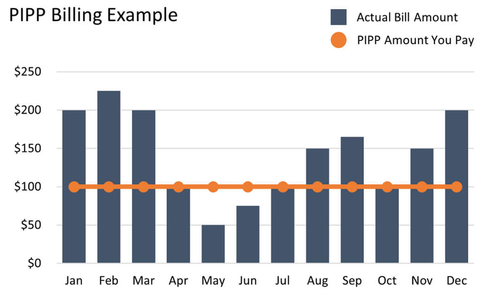 Percentage of Income Payment Program Billing Example