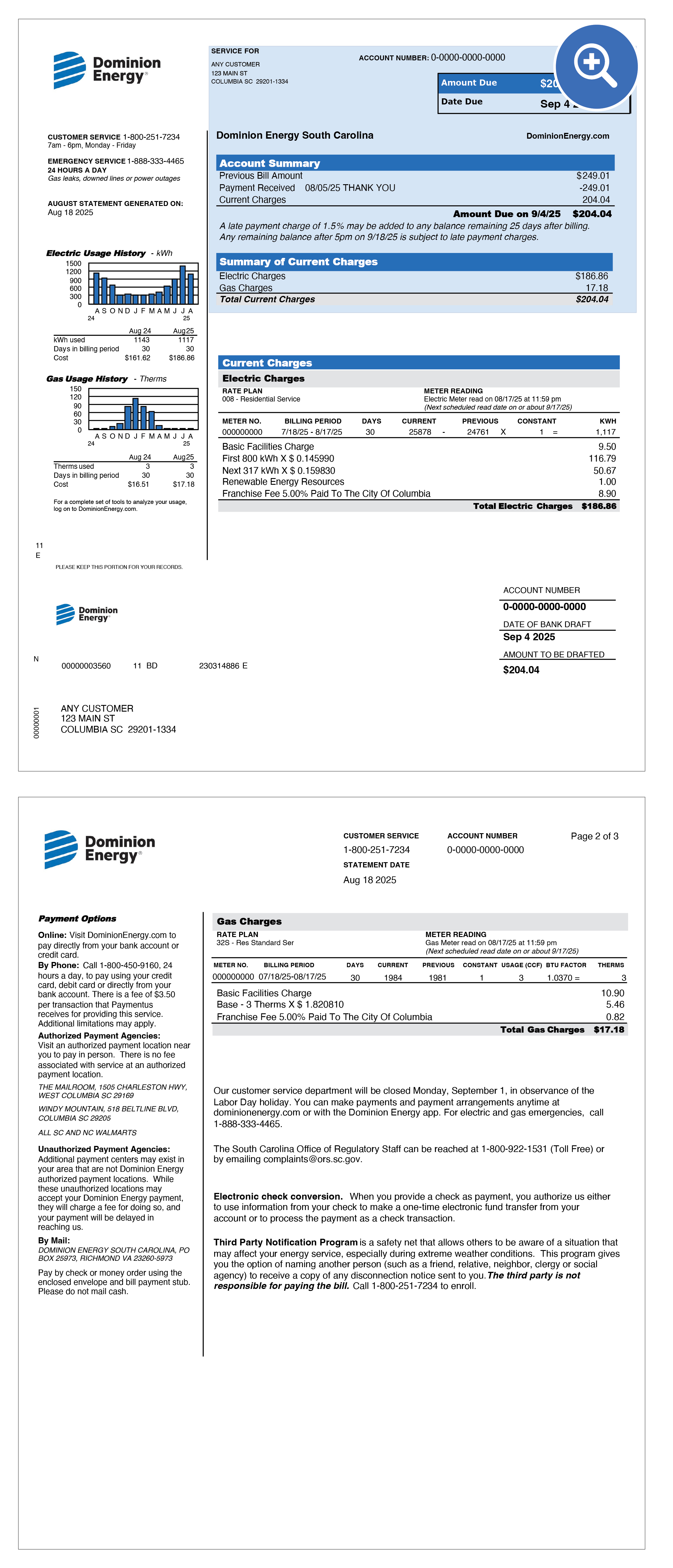 South Carolina Electric & Gas Bill Sample Items 1-3 Location