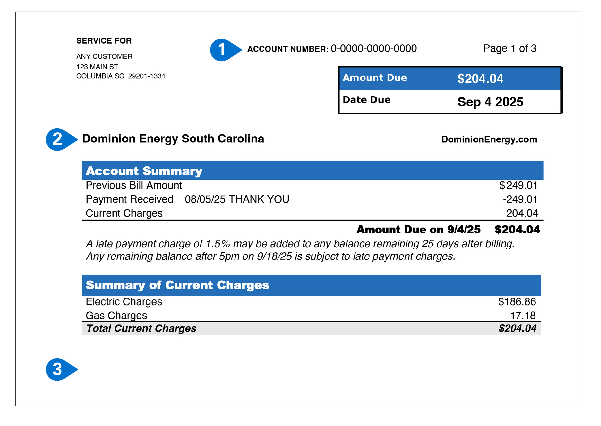 South Carolina Electric & Gas Bill Sample Items 1-3