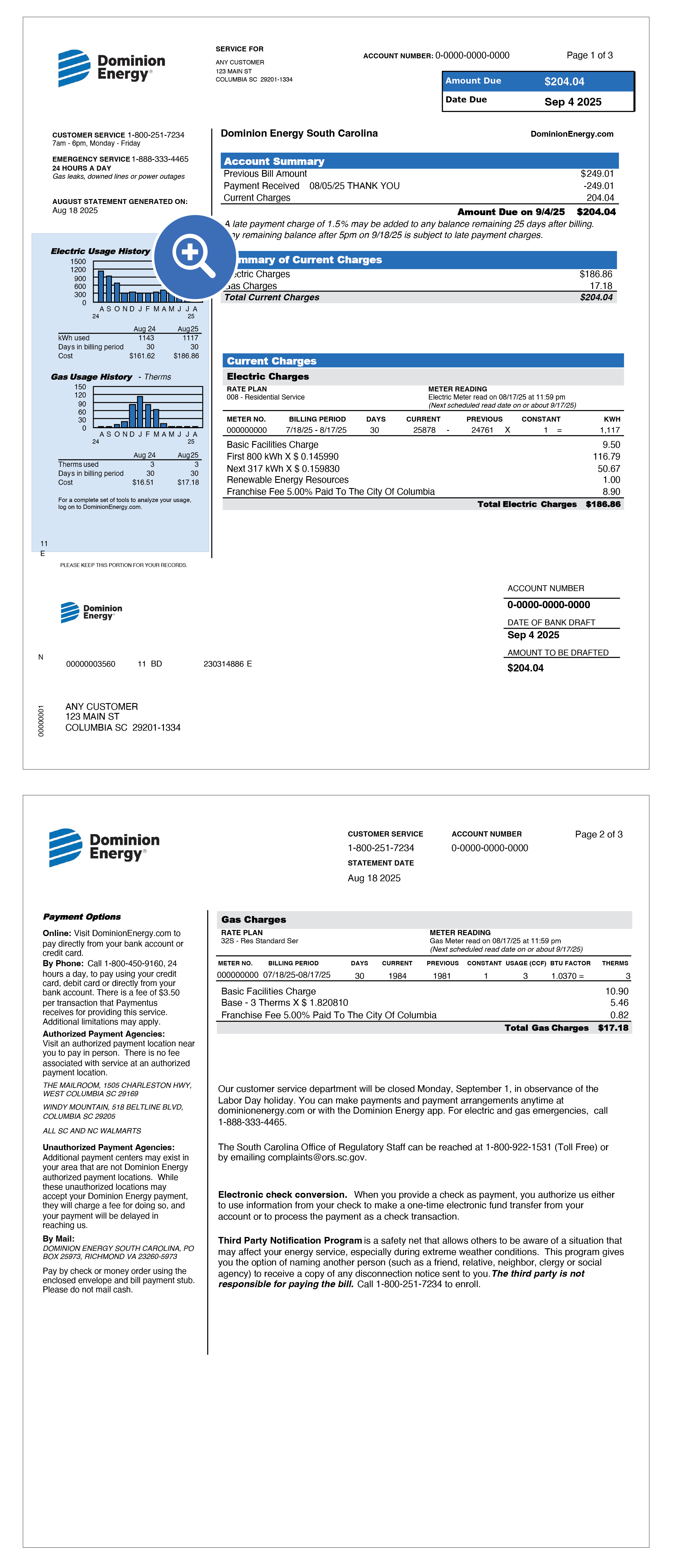 South Carolina Electric & Gas Bill Sample Items 4-5 Location