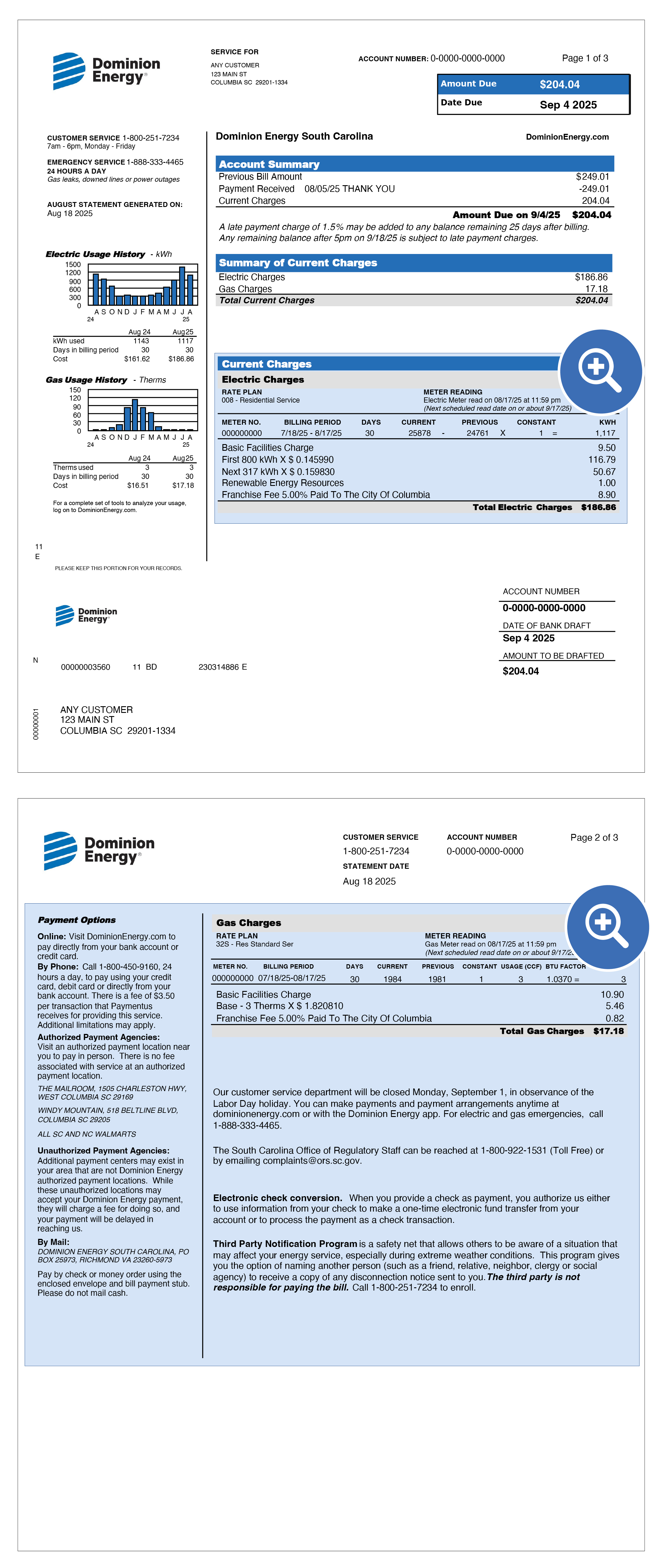 South Carolina Electric & Gas Bill Sample Items 8-13 Location