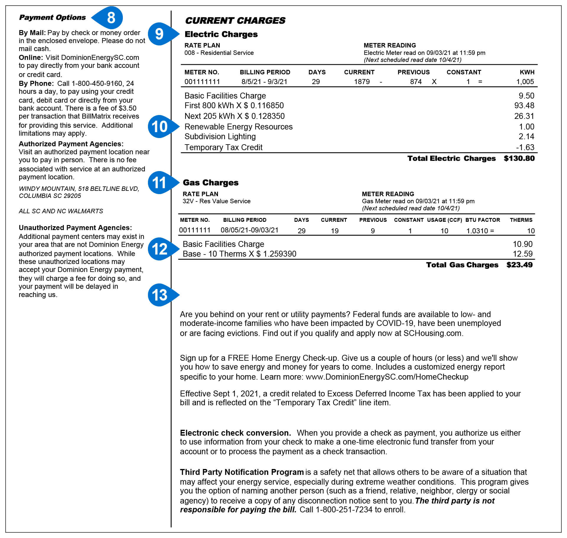 South Carolina Electric & Gas Bill Sample Items 8-13