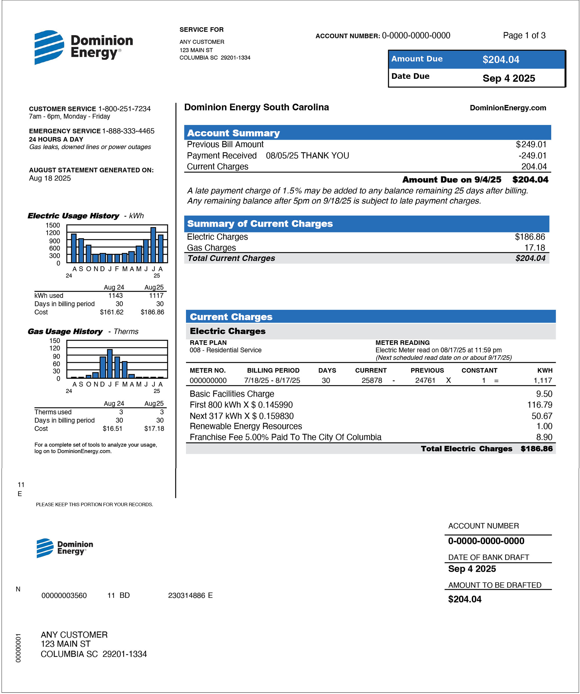 Front of a South Carolina electric & gas bill