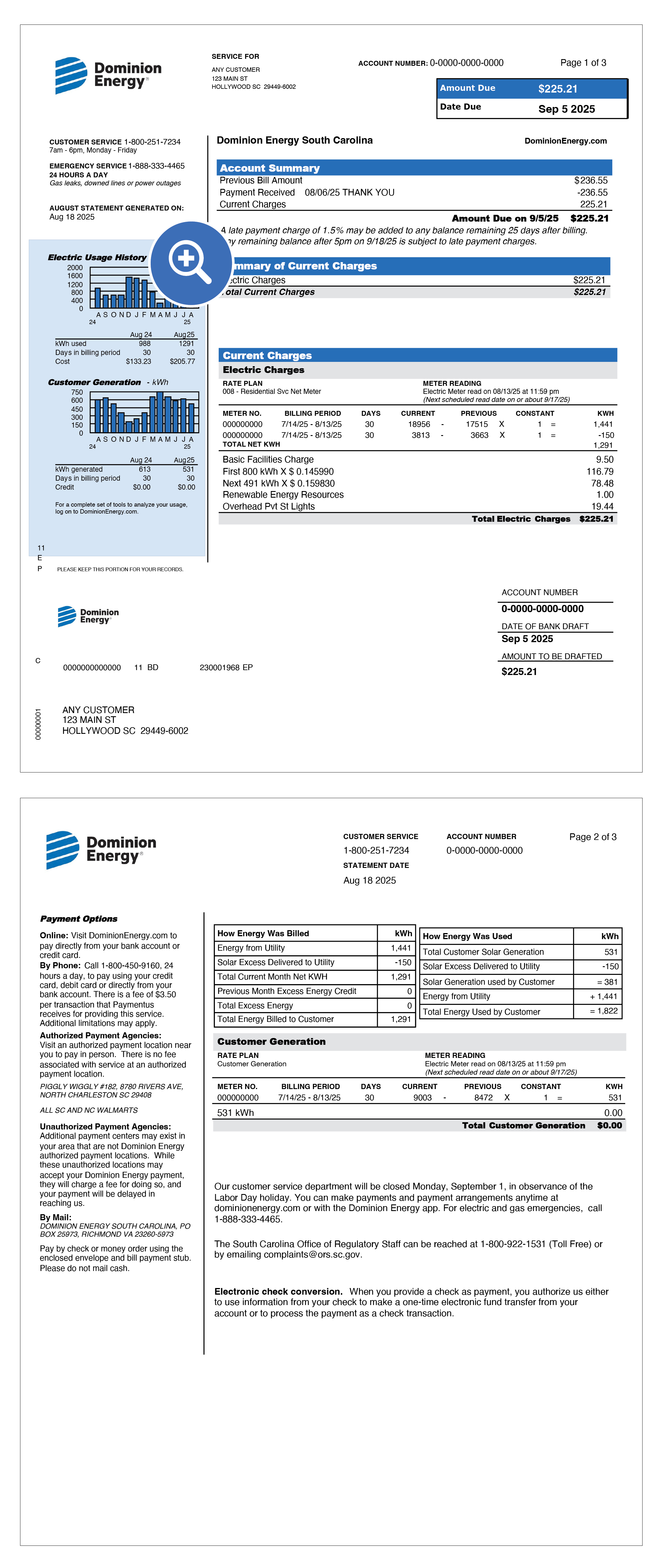 South Carolina Solar Bill Sample Items 4-5 Location