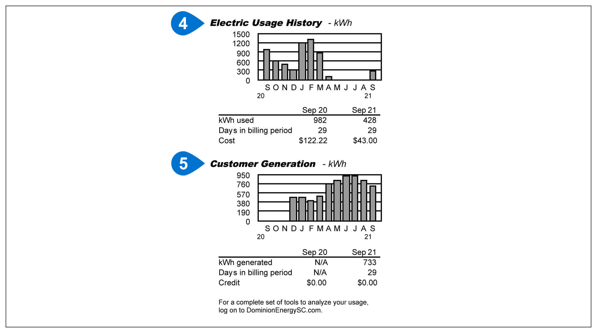 South Carolina Solar Bill Sample Items 4-5