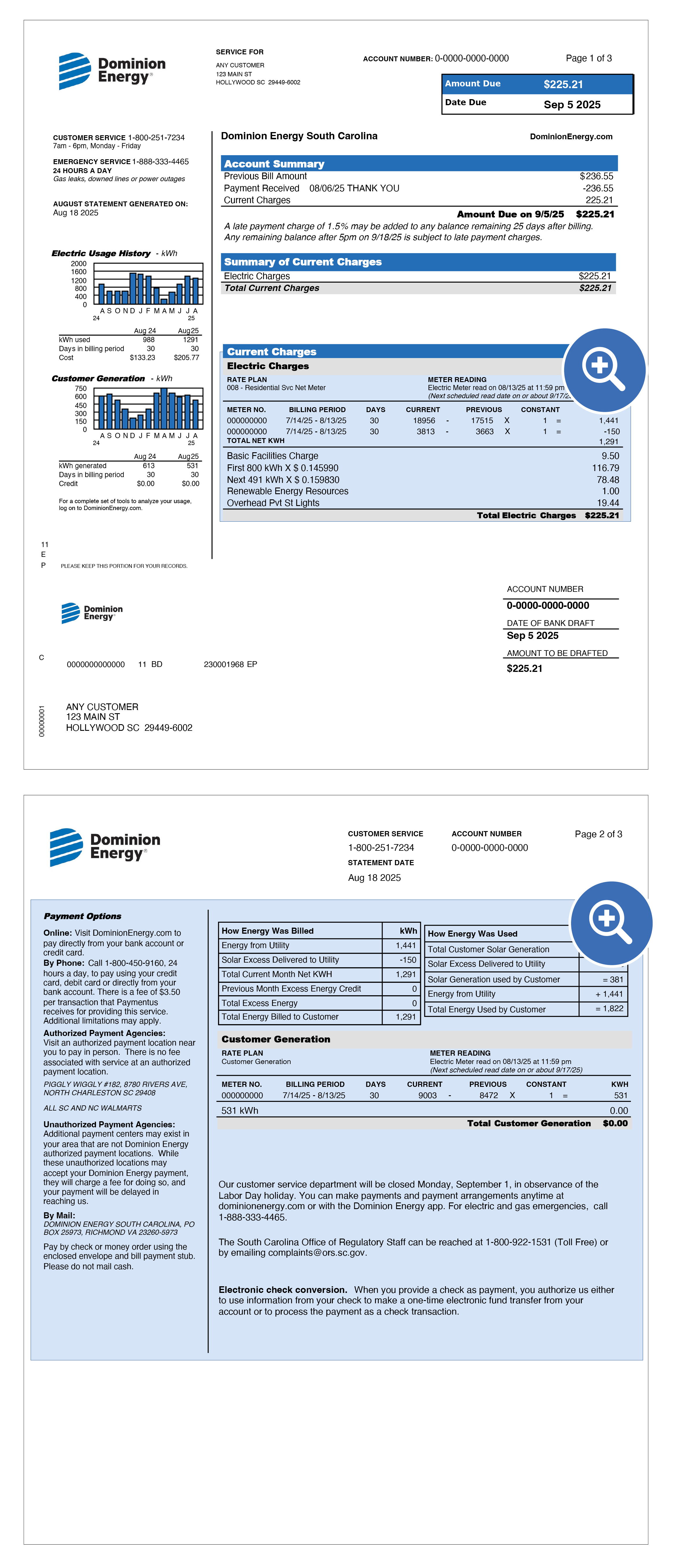 South Carolina Solar Bill Sample Items 8-15 Location