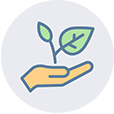 Caring for the Environment