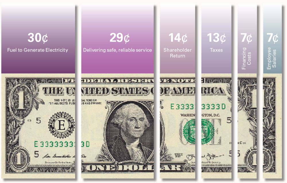 Dollar infographic