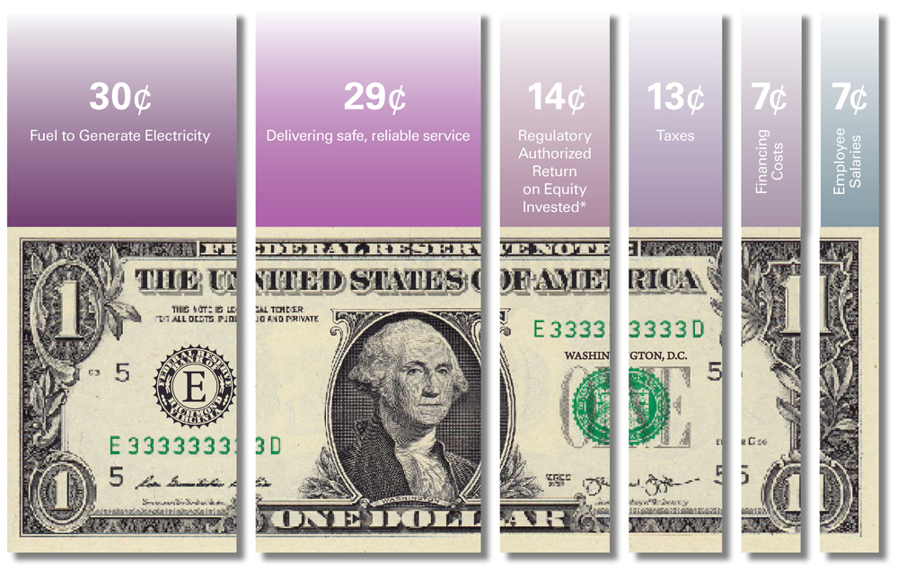 Dollar infographic