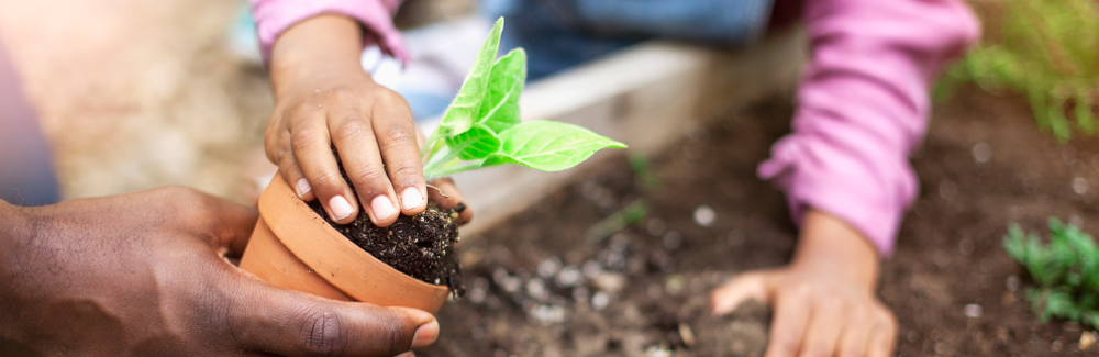 Child planting a seedling with help from an adult