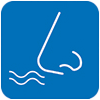 Smell Icon
