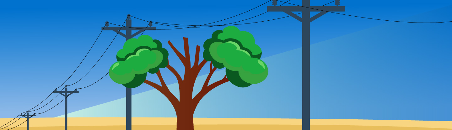 A tree trimmed to safely skirt power lines above it