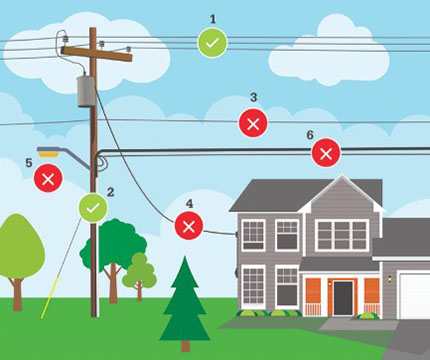 Image depicting where we trim. We trim around primary power lines and power poles, but not around neutral lines, service lines, streetlights, and communication lines.