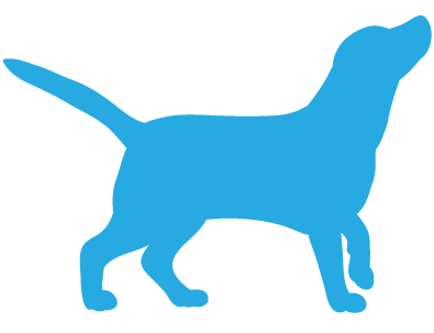 pet icon