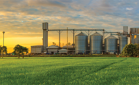 Landscape Farm Image