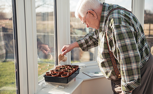 Elderly home owner watering plants in a window