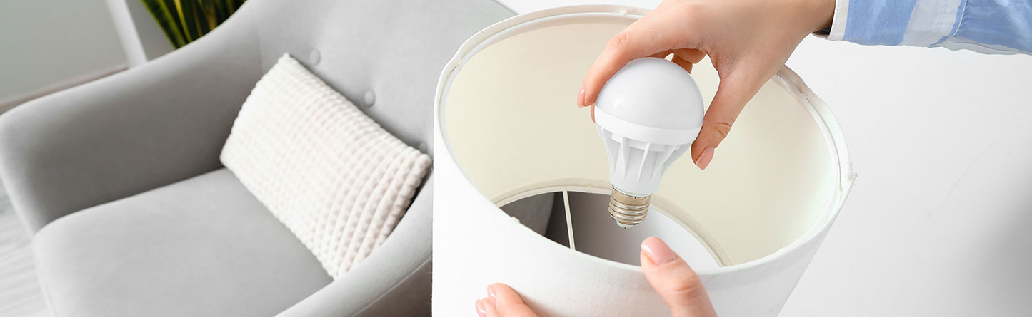 LED Lightbulbs