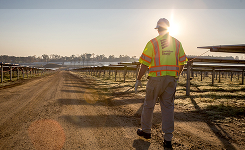 Employee in Solar Field