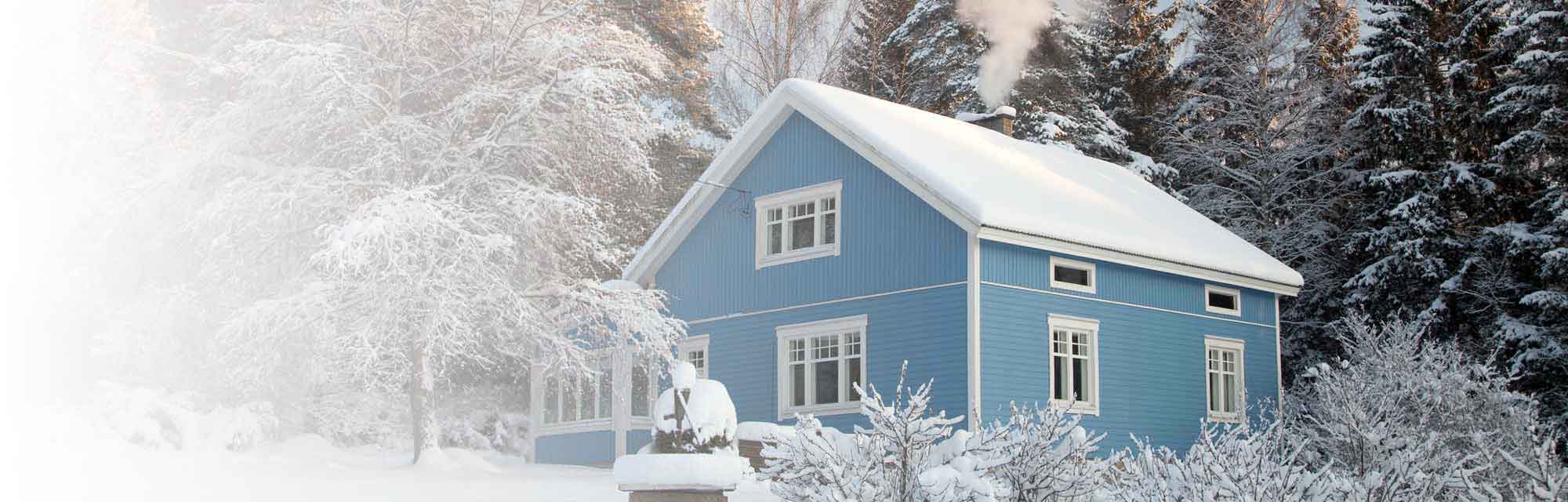 blue house in a snowy area with many trees