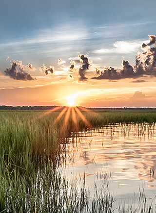 Customer Connection for South Carolina | Dominion Energy