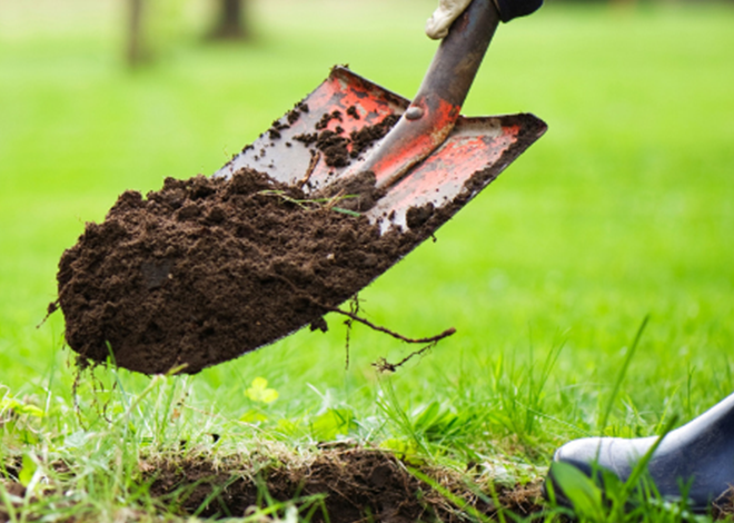 Four Reasons To Contact 811 Before You Dig | Dominion Energy