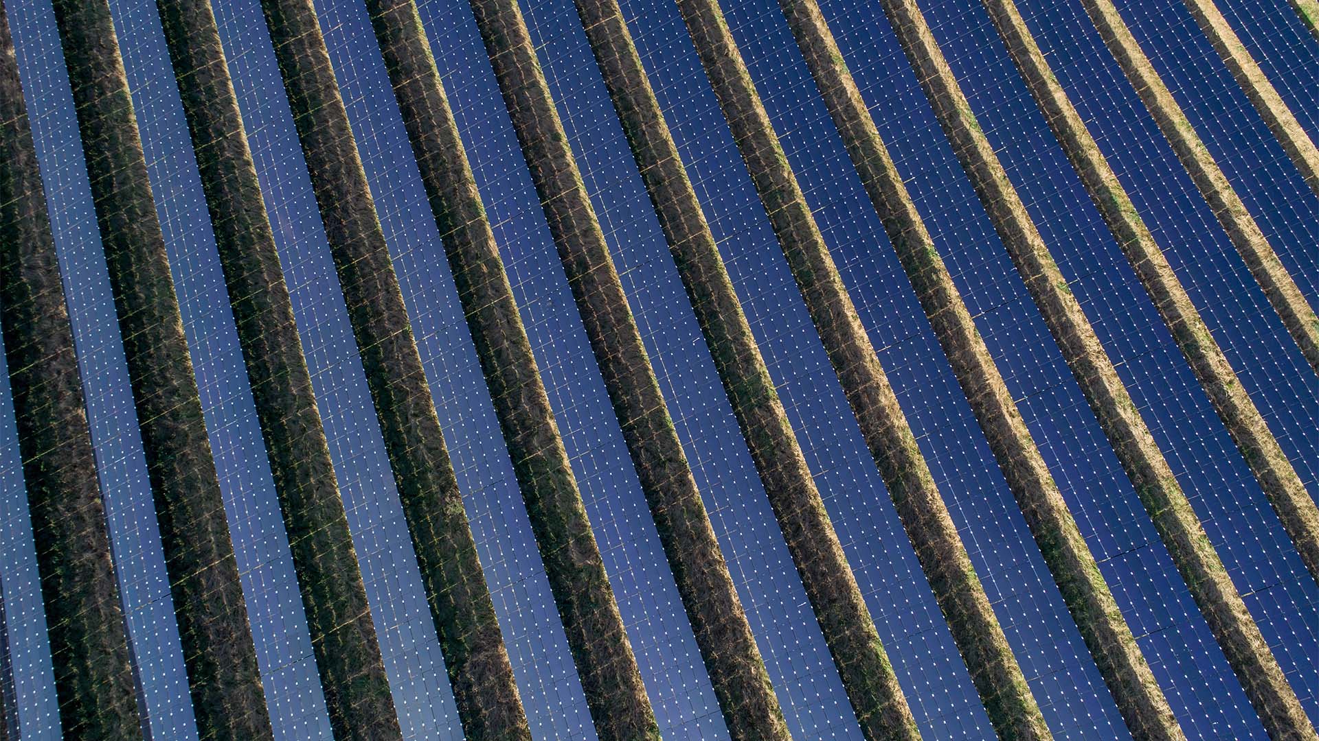Monroe Solar